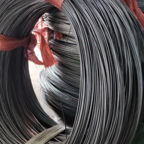 温州地区销售电镀锌弹簧钢丝冷拔丝线材的厂家